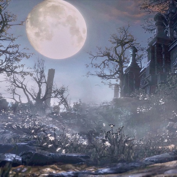 Meet your Posher, Tara - Picture 1 of 1